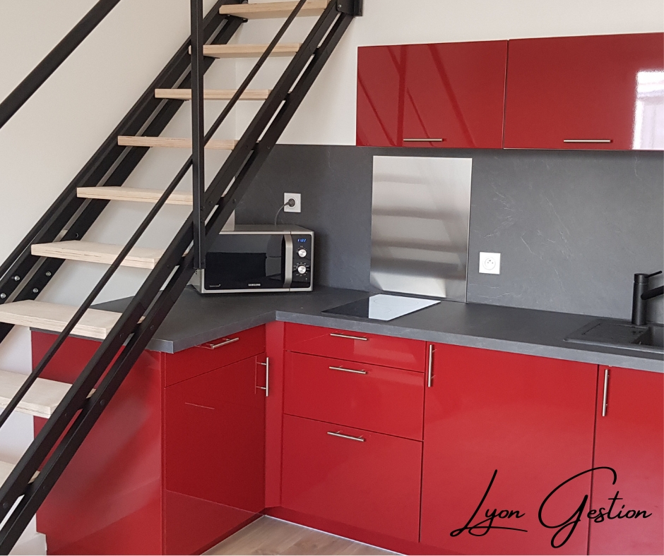 Studio meublé LYON 7E